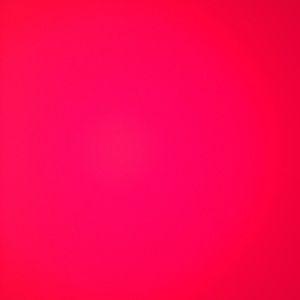 Meet your Posher, Tyesha